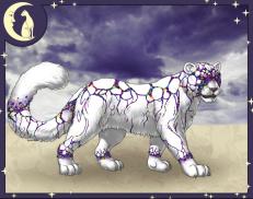 A custom Snow Leopard puma named 'Sitara'